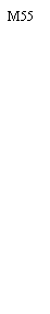 �������: �55
