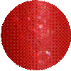 http://www.kosmetika-vov.ru/published/publicdata/LCHDEZIGNVOV/attachments/SC/products_pictures/20552.png