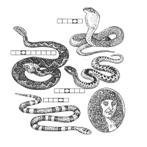 ���. 2