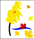 �����