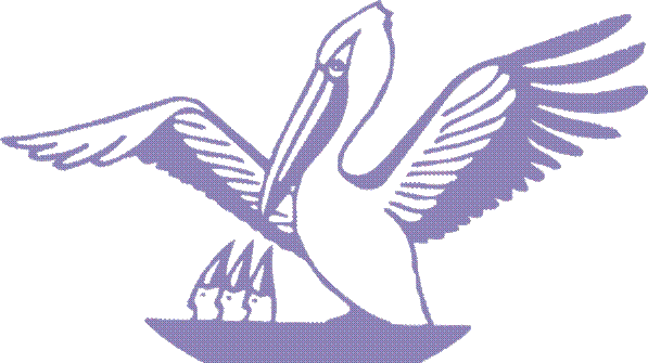 pelikan1