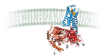 http://www.chemport.ru/newsimages/13498821224df33.jpg