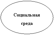 ����: ���������� �����

