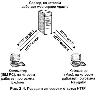 24.png"