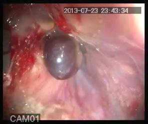 ��������: ��������: C:\Users\Utkir\Pictures\17_01_H_130723231932.avi_snapshot_24.07_[2013.11.13_06.25.19].jpg
