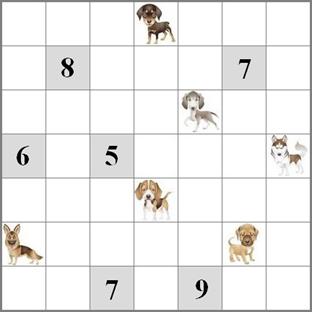 ����� ����� - ����������� �����������