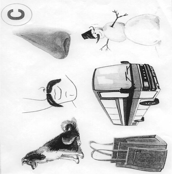 20001.jpg