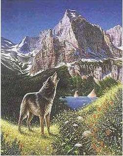 4wolf.jpg (32123 bytes)