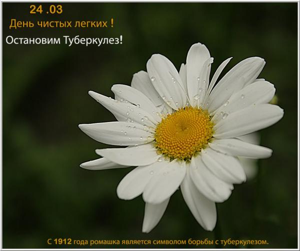 http://www.rastut-goda.ru/images/image/image1/9bdf728b8cb9.jpg