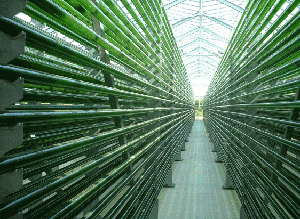 http://bioenergy.com.ua/images/vodosli.gif
