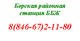 �������: