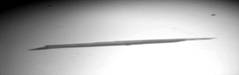 P4100578