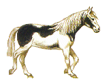лошадь 2
