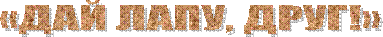 «��� ����, ����!»