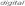 digital
