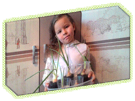 P_20151112_082830
