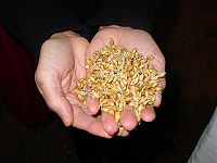 http://upload.wikimedia.org/wikipedia/commons/thumb/3/32/Sjb_whiskey_malt.jpg/200px-Sjb_whiskey_malt.jpg