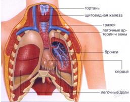 http://sovetclub.ru/tim/2b51bd27b591d56620ed8a919b40e2a8.jpg