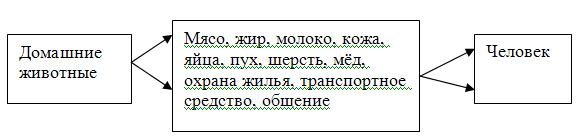 * Какую пользу приносят домашние животные людям?