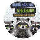 http://mstislaw.by/sites/default/files/imagecache/prew200/enoty.png