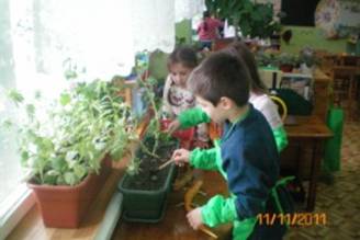 ��������: C:\Documents and Settings\kravtsovamv\������� ����\temp\11\sochi-schools.ru_files\100_0136320x200.JPG