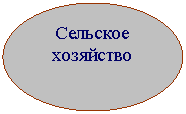����: �������� ���������