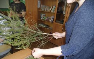 Описание: F:\Исследование Свинец\CIMG7734.JPG