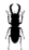 ��������: http://pixelbrush.ru/uploads/posts/2010-06/1276852870_insects.jpg