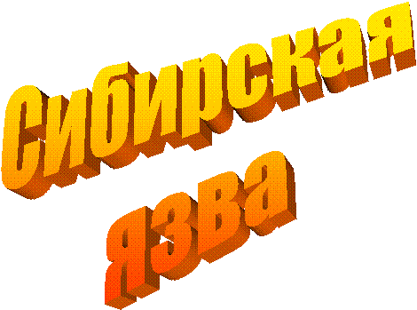 ���������
����