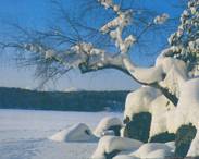 Nature_12