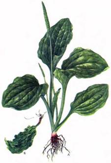 image38"