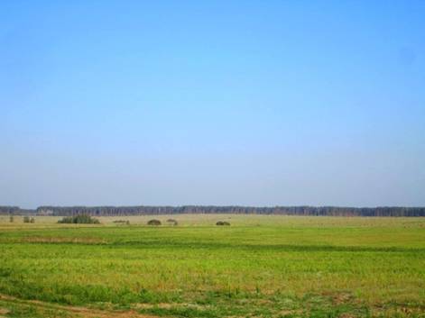 IMG_2843.JPG
