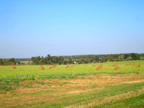 IMG_2851.JPG