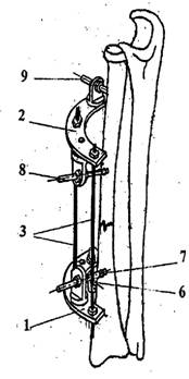 Image-03