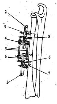 Image-04