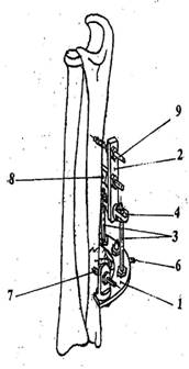 Image-05