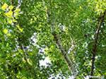 http://media1.picsearch.com/is?G0priLqP0lAMLE1ndAkbTHJz8FxnFdyCJlMTqAfVSOM