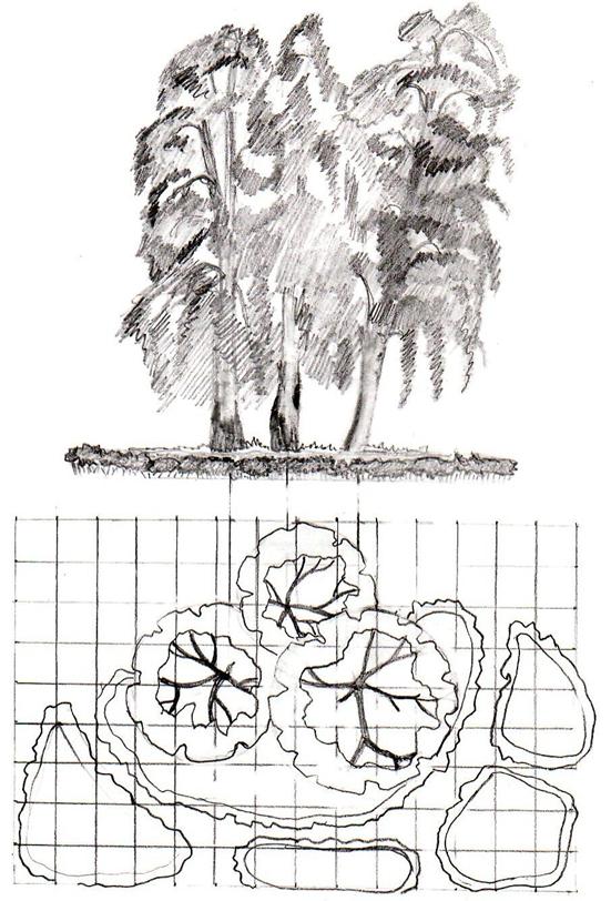 D:\ВРЕМЕННОЕ\14.jpg