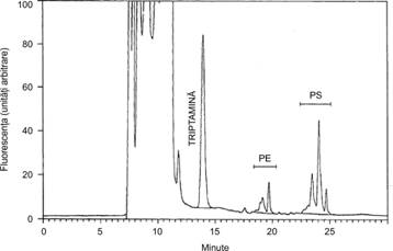Fluorescen?a (unita?i arbitrare)1008060TRIPTAMINAPS40PE2000510152025Minute