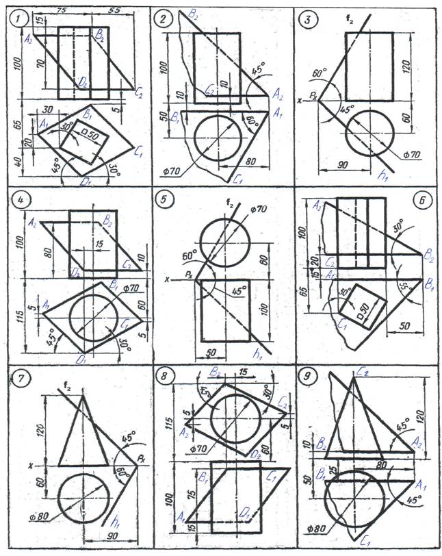 6 (1)