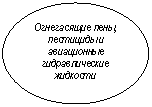 Овал: