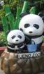 C:\Users\Anna Remenets\Desktop\GAKU\New Year\zoo.jpg