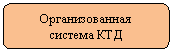 Скругленный прямоугольник: Организованная
система КТД