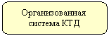 Скругленный прямоугольник: Организованная
система КТД