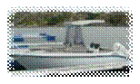 Kaasboll 115 b.JPG