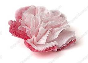 http://stranamasterov.ru/files/imagecache/orig_with_logo2/images/techno/paper/PICT9810.jpg