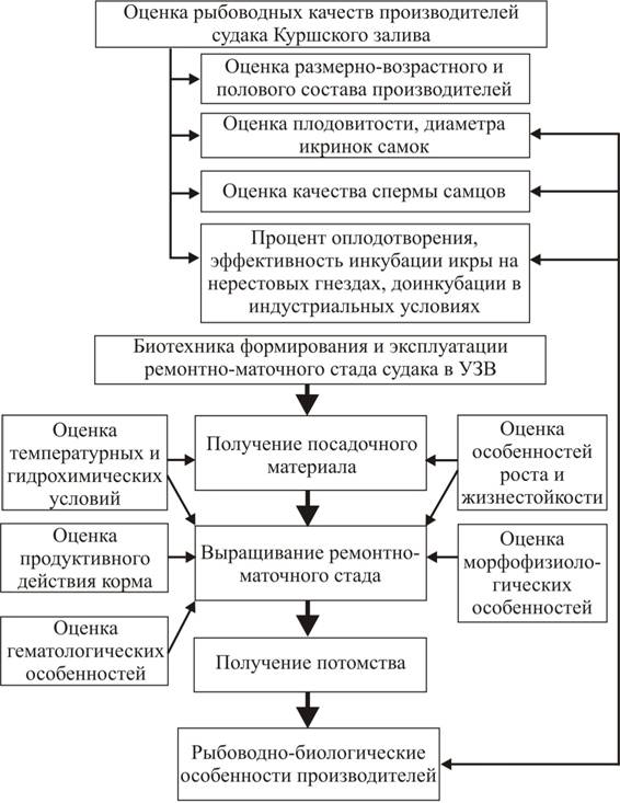 C:\Documents and Settings\user\������� ����\����� �����11.jpg