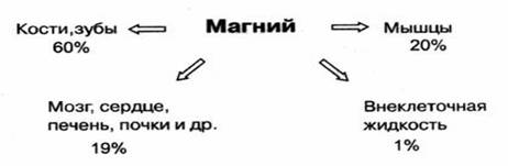 http://article.apteka.ru/images/news/image004.jpg