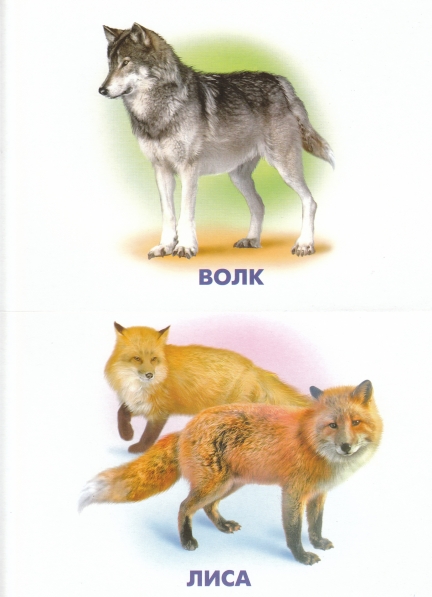 http://www.maam.ru/upload/blogs/454c166c9a51eb26e21085f2bfdd31a3.jpg.jpg
