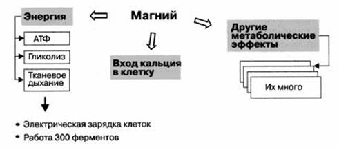 http://article.apteka.ru/images/news/image006.jpg
